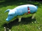 Ferkel 