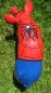 mini Spiderschwein