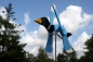 Windmöwe 