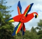 Windmöwe 