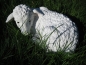 Liegendes Lamm