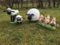 Shaun das Schaf - Mauerschweine (klein)