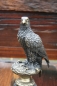 Adler aus Bronze