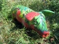 Ferkel 