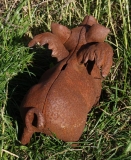 Flügelschwein rost 