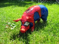mini Spiderschwein