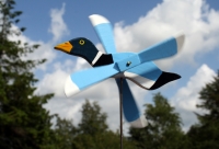 Windmöwe 