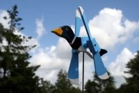 Windmöwe 