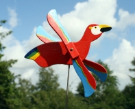 Windmöwe 