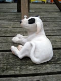 Bullterrier klein, liegend