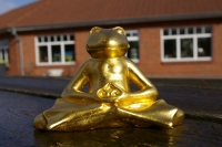 Buddha Frosch mini