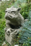 Pheeberts "Bertie", Gargoyle © by Fiona Scott