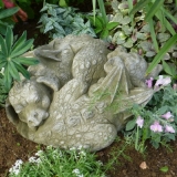 Pheeberts schlafende Drachen "Yin & Yan" © by Fiona Scott