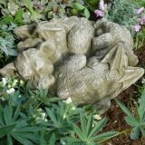 Pheeberts schlafende Drachen "Yin & Yan" © by Fiona Scott