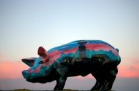 Mini Kampenferkel "Bei Nacht"