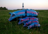 Mittleres Kampenferkel "Bei Nacht"