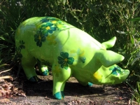 Mini Ferkel 