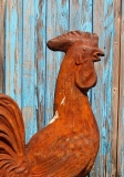 Hahn, groß