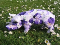 mini mini Ferkel "Iris"