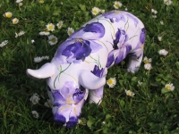 mini mini Ferkel "Iris"