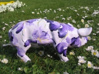 mini mini Ferkel "Iris"