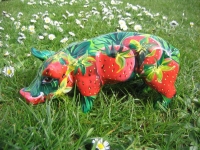 mini mini Ferkel "Erdbeer"