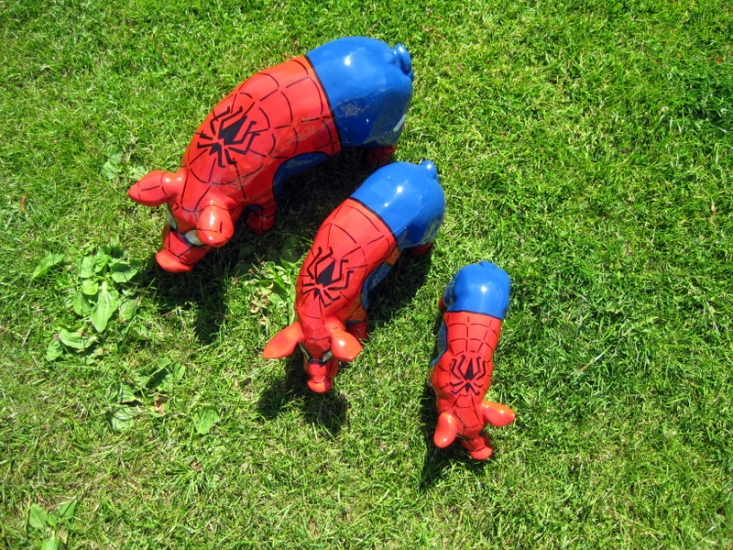 mini Spiderschwein