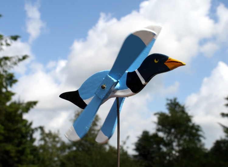 Windmöwe 