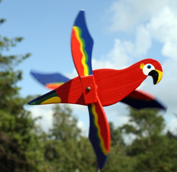Windmöwe 