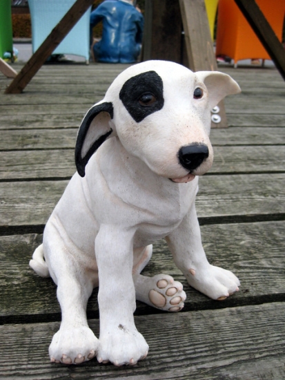 Bullterrier klein, sitzend