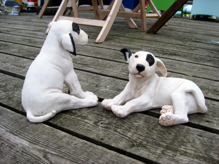 Bullterrier klein, liegend