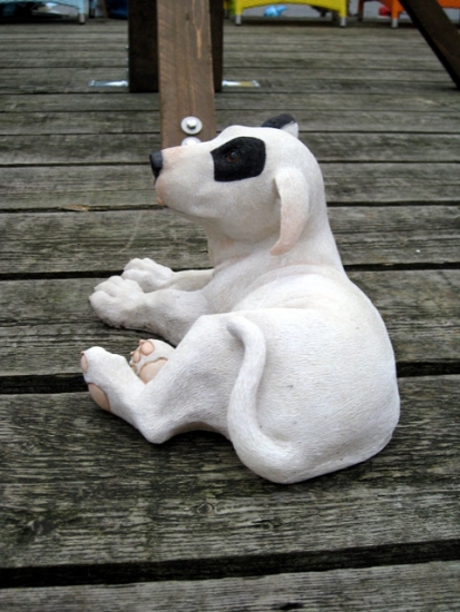 Bullterrier klein, liegend