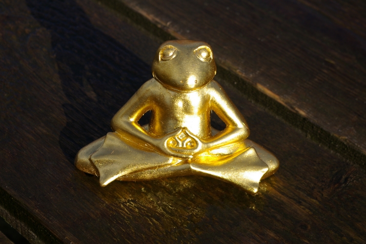 Buddha Frosch mini