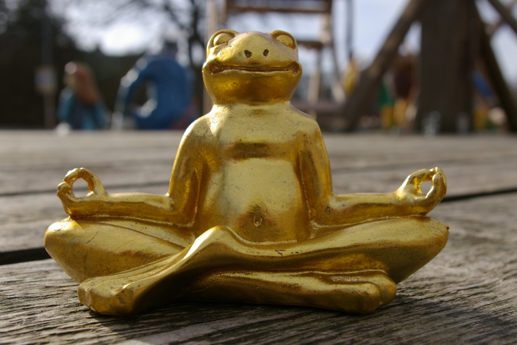 Buddha Frosch mini 3