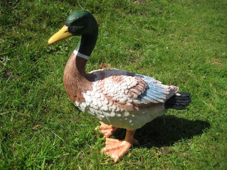 Ente