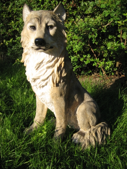 Wolf