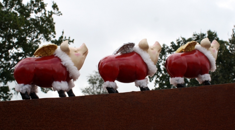 Sylter Weihnachtsschwein, goldene Flügel