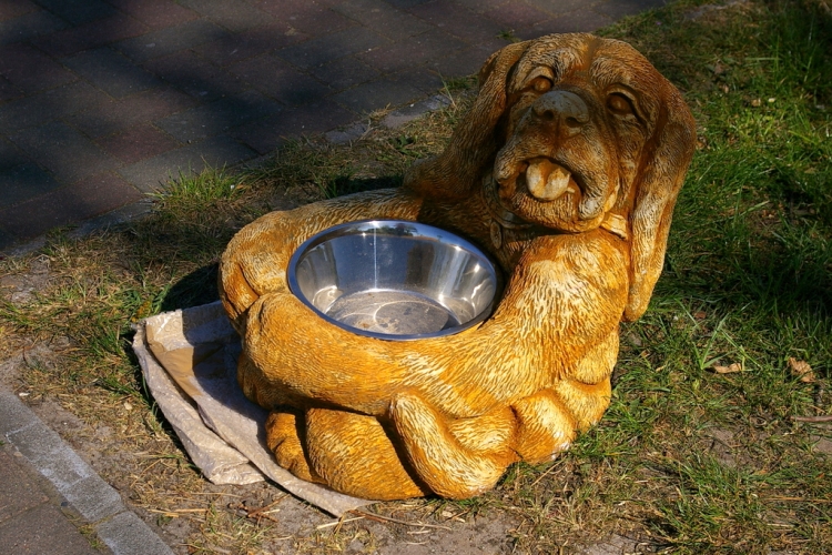 Hundenapf Stein, groß