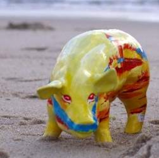 Mini Kampenferkel 