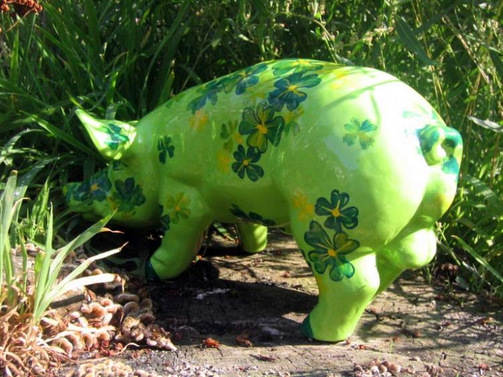 Mini Ferkel 