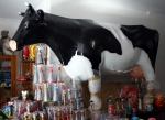 Kuh lebensgroß "schwarz-weiß" Kopf hoch