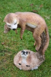 Erdmännchen schlafend, groß