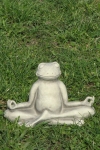 Yoga-Frosch, klein