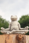 Yoga-Frosch, groß
