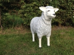 Graues Schaf