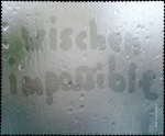 Inkognito Brillenputztuch "Wischen impossible" 18 x 15 cm